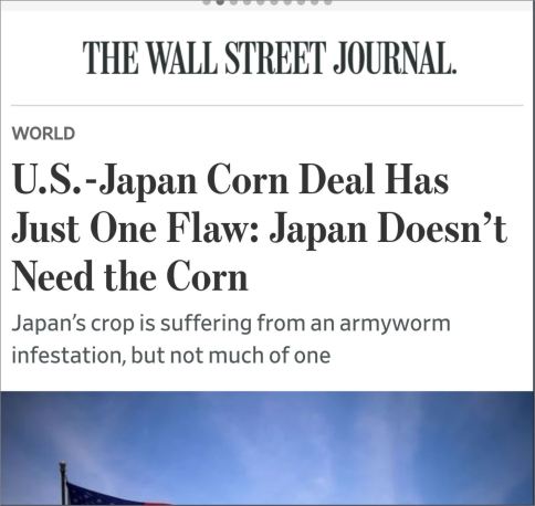japan-deal-flaw