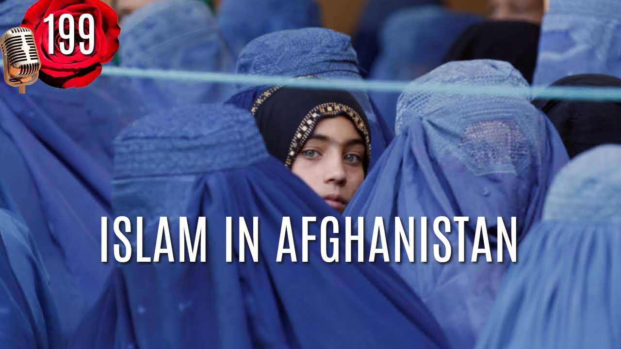 2023-10-03T06_44_42.288Z